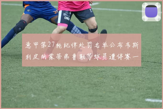 意甲第27轮纪律处罚名单公布韦斯利皮纳蒙蒂弗鲁勒等球员遭停赛一轮