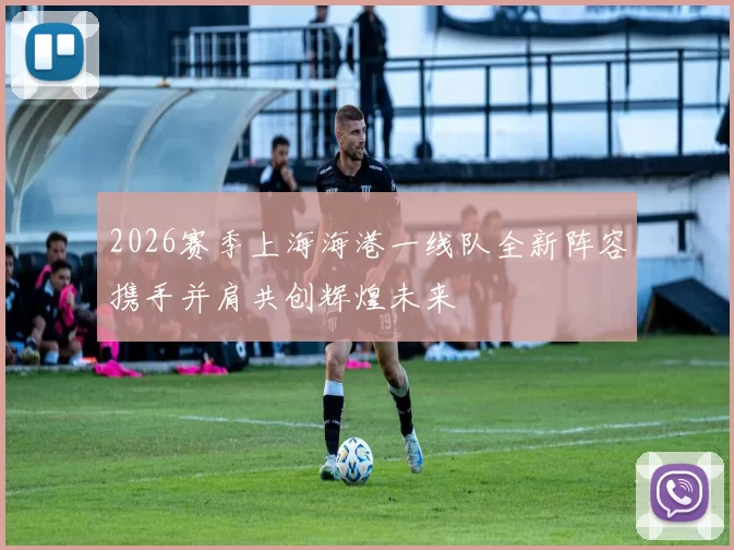 2026赛季上海海港一线队全新阵容携手并肩共创辉煌未来